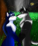  2018 anthro bianca_(sheep_and_wolves) blue_body blue_eyes blue_fur blue_hair blush canid canine canis duo eye_contact female fur grass grey_(wolf) hair hand_holding hi_res ligoexe03 looking_at_another love male male/female mammal nose_to_nose nude outside passionate plant romantic romantic_ambiance romantic_couple russian sheep_and_wolves simple_background smile solo standing tree tuft wizart wizarts wolf 