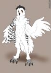 avian bird bubo_(genus) feathers foxboy83 hi_res male owl owlclaw snowy_owl talons true_owl winged_arms wings 
