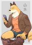  anthro bulge canid canine cellphone clothed clothing fox hi_res jacket koginoro_28 male mammal odd_taxi pants_down partially_clothed phone simple_background sitting smartphone sweater topwear underwear undressing v-neck yamamoto_(odd_taxi) 