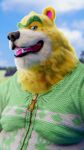  2021 animal_crossing anthro black_nose clothing fatback_hog fur hi_res male mammal nate_(animal_crossing) nintendo outside overweight overweight_anthro overweight_male solo sweater tongue tongue_out topwear ursid video_games white_body white_fur yellow_body yellow_fur 