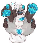  &lt;3 2021 ? anthro anus balls bedroom_eyes blue_anus blue_eyes blue_nose blue_pawpads blue_penis butt chest_tuft claws countershading doppel feet foot_focus fur genitals grey_body grey_fur hair hi_res hyaenid inner_ear_fluff male mammal narrowed_eyes pawpads penis presenting presenting_anus riledyeen seductive simple_background smiling_at_viewer soles solo spread_butt spreading toes tuft white_background white_body white_countershading white_hair 