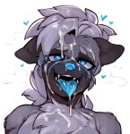 &lt;3 &lt;3_eyes 2021 after_sex anthro blue_eyes blue_nose blue_tongue bodily_fluids chest_tuft cum cum_on_face doppel fangs fur genital_fluids grey_body grey_fur hi_res hyaenid male mammal open_mouth open_smile riledyeen simple_background smile solo tongue tuft white_background 