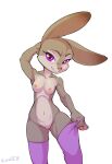  2019 absurd_res anthro breasts buckteeth butt_from_the_front clothed clothing crombie disney female front_view fur genitals hi_res judy_hopps lagomorph legwear leporid looking_at_viewer mammal mostly_nude multicolored_body multicolored_fur navel nipples partially_clothed pink_nose purple_clothing purple_eyes purple_legwear purple_stockings pussy rabbit signature simple_background solo squish stockings teeth thigh_squish white_background wide_hips zootopia 