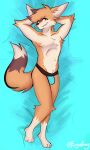  absurd_res body_pillow canid canine clothing fennec fox furryafoxt hi_res jockstrap male male/male mammal pillow solo underwear 