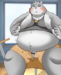  2021 anthro belly blush bottomwear canid canine canis clothing domestic_dog fur grey_body grey_fur hi_res humanoid_hands inside kemono male mammal moobs nipples overweight overweight_anthro overweight_male puss3250 shirt shorts sitting solo tank_top topwear underwear 