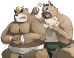 2021 angry anthro ashigara bandage brown_body brown_fur canid canine canis domestic_dog duo fur hon55728 humanoid_hands kemono male mammal moobs nipples overweight overweight_male scar sumo tokyo_afterschool_summoners ursid video_games yasuyori 