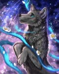  2021 ambiguous_gender black_body black_fur black_nose blue_eyes canid canine canis digital_media_(artwork) feral flashw fur mammal solo wolf 