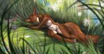  anthro breasts brown_body brown_fur canid canine day detailed_background elkir featureless_breasts featureless_crotch feet female fingers fur gimka mammal nude outside toes 