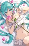  bloomers curcumin hatsune_miku tagme vocaloid 