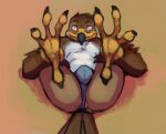  2020 4_toes accipitrid accipitriform anisodactyl anthro anus avian barefoot beak bedroom_eyes bird bird_feet black_claws blush briefs brown_body brown_feathers bulge claws clothed clothing digital_media_(artwork) eagle feathers feet high-angle_view looking_at_viewer lying male multicolored_body multicolored_feathers narrowed_eyes on_back scuted_arms scutes seductive shaded shadow skimpy smile solo tail_feathers talons toe_claws toes topless underwear vulgarstarling white_body white_feathers 