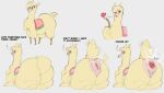  alpaca anal_prolapse anus bodily_fluids camelid color_edit colored digital_media_(artwork) edit female mammal paprika_paca_(tfh) presenting presenting_anus prolapse puffy_anus purple_eyes simple_background sweat them&#039;s_fightin&#039;_herds upright-infinity yellow_body 