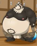  2021 absurd_res anthro balls big_balls blush brown_body brown_fur burenai buried_penis canid canine fur genitals hi_res humanoid_genitalia humanoid_hands humanoid_penis inside kemono live-a-hero locker_room male mammal moobs navel nipples obese obese_anthro obese_male overweight overweight_anthro overweight_male penis raccoon_dog shoen small_penis solo tanuki tight_foreskin video_games 