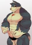  anthro canid canine canis clothing domestic_dog edit erection garmr genitals hi_res humanoid_genitalia humanoid_penis male mammal muscular muscular_anthro muscular_male nipples penis solo thong tokyo_afterschool_summoners uncensored underwear video_games 