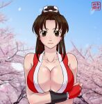  breasts kasumi_jun mai_shiranui shiranui_mai tagme 