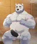  2021 anthro balls beard black_nose blush detailed_background erection facial_hair fur genitals hi_res humanoid_genitalia humanoid_hands humanoid_penis jumperbear kemono male mammal musclegut overweight overweight_anthro overweight_male penis polar_bear sauna sitting solo ursid ursine white_body white_fur 