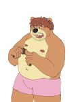  2021 absurd_res anthro belly black_nose brown_body brown_fur clothing fur hi_res humanoid_hands male mammal navel nipples overweight overweight_anthro overweight_male sato_afroleone simple_background solo underwear ursid white_background 
