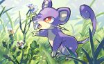  bright_pupils commentary_request fangs fangs_out flower gen_1_pokemon grass kamijima871 no_humans open_mouth orange_eyes pokemon pokemon_(creature) rattata solo standing tongue white_pupils 