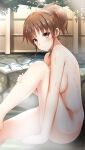  1girl bangs blush breasts brown_eyes brown_hair closed_mouth completely_nude doukyuusei doukyuusei_another_world eyebrows_visible_through_hair from_side game_cg hair_between_eyes medium_breasts nude official_art onsen outdoors ponytail shiny shiny_hair sideboob sitting smile solo steam tanaka_misa tied_hair 