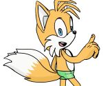  bottomwear canid canine clothing fox kitsune2000 male mammal miles_prower prower shorts solo sonic_the_hedgehog_(series) swimming swimming_trunks swimwear tails_(disambiguation) 