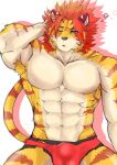 abs absurd_res anthro aschitail balls_outline blush bulge clothing felid genital_outline hi_res male mammal muscular muscular_anthro muscular_male nipples nomad_(tas) pantherine pecs penis_outline solo tiger tokyo_afterschool_summoners underwear video_games waking_up 
