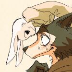  1:1 anthro beastars blush canid canine canis crescendeon domestic_rabbit duo dwarf_rabbit female fur haru_(beastars) hi_res lagomorph legoshi_(beastars) leporid male mammal oryctolagus rabbit romantic_couple smile white_body white_fur wolf 