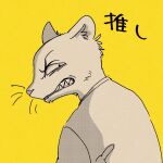  1:1 2021 angry anthro beastars bust_portrait crescendeon herpestid hi_res japanese_text kai_(beastars) looking_back male mammal mongoose portrait sharp_teeth simple_background snarling solo teeth text translated yellow_background 