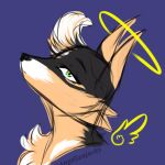  animal_humanoid anonymous_artist anthro aura canid canid_humanoid canine canine_humanoid canis feathered_wings feathers feral fox fox_humanoid hi_res humanoid looking_at_viewer male mammal mammal_humanoid profile_picture profile_view shonow solo wings wolf wolf_humanoid 