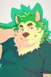  absurd_res anthro belly canid canine canis clothing domestic_dog eyebrows fur green_body green_eyes green_fur heylaw21 hi_res live-a-hero looking_at_viewer male mammal mokdai overweight overweight_anthro overweight_male shirt snaggle_tooth solo t-shirt thick_eyebrows topwear 