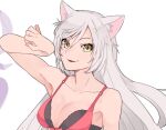  1girl animal_ears armpits arms_up bare_shoulders black_hanekawa bra breasts cat_ears collarbone fang hair_ornament hairclip hand_up hanekawa_tsubasa je8 long_hair looking_at_viewer monogatari_(series) open_mouth paw_pose pink_bra slit_pupils underwear white_hair yellow_eyes 