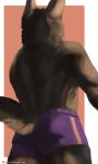  absurd_res anthro aquila_chrysaetos canid canine canis clothed clothing domestic_dog german_shepherd herding_dog hi_res invalid_tag male mammal muscular pastoral_dog topless underwear 
