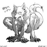  2021 anthro beastars canid canine canis claws crouching greyscale hi_res japanese_text legoshi_(beastars) looking_at_viewer male mammal monochrome nude scar simple_background solo text toe_claws translation_request url white_background wolf yuzuki_fang111 