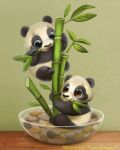  2021 ambiguous_gender bamboo black_body black_fur blue_eyes bowl brown_eyes cryptid-creations duo eating feral fur giant_panda green_background leaf mammal rock simple_background ursid white_body white_fur 