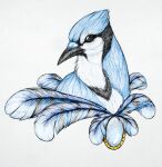  2015 absurd_res avian beak bird black_beak black_body black_feathers blacknemera blue_body blue_feathers blue_jay corvid dated feathers feral hi_res jay_(bird) multicolored_body multicolored_feathers new_world_jay oscine passerine signature simple_background solo traditional_media_(artwork) white_background white_body white_feathers 