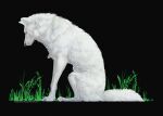  ambiguous_gender black_nose blacknemera blue_eyes canid canine canis digital_media_(artwork) feral fur mammal sitting solo white_body white_fur wolf 