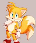  1boy animal_ears animal_nose cub dandi fox fox_ears fox_tail furry gloves highres looking_at_viewer male_focus red_footwear sega shoes sneakers solo sonic_(series) tail tails_(sonic) underwear white_gloves 