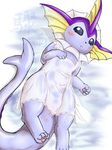  pokemon tagme vaporeon 