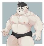  2021 absurd_res anthro black_hair blue_eyes blush bulge clothing fur hair hi_res humanoid_hands kemono male mammal musclegut nipples polar_bear sakisukem solo underwear ursid ursine white_body white_fur 