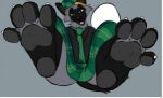  anthro clothing fur green_clothing grey_body grey_fur low_res lying male on_back pastelcore pawpads paws solo 