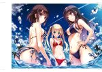  saenai_heroine_no_sodatekata tagme 