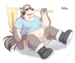  2018 absurd_res anthro belly bottomwear brown_body brown_fur canid canine canis clothing domestic_dog fur hat headgear headwear hi_res humanoid_hands kemono lveink male mammal navel overweight overweight_anthro overweight_male shirt shorts simple_background sitting solo topwear white_background 