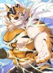  abs anthro bodysuit bulge clothing felid grin hi_res jinku_56 live-a-hero looking_at_viewer male mammal muscular muscular_anthro muscular_male nipples offering_hand pantherine pecs ryekie_(live-a-hero) skinsuit smile solo spandex superhero tiger tight_clothing torn_clothing 