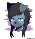  absurd_res anthro biped black_body black_fur black_hair black_nose blue_body blue_fur female floppy_ears fur hair hi_res kimacats multicolored_body multicolored_fur purple_eyes solo tan_body tan_fur 