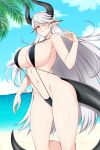  horns lindaroze pointy_ears swimsuits tail 