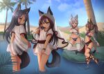  4girls :d absurdres animal_ear_fluff animal_ears black_hair blurry breasts brown_eyes brown_hair cat_ears cat_tail day depth_of_field dress fang fangs flat_chest highres hotel01 looking_at_viewer multicolored_hair multiple_girls oasis open_mouth original outdoors palm_tree ponytail sandals see-through see-through_dress short_dress short_hair short_sleeves silver_eyes small_breasts smile soaking_feet streaked_hair tail thighhighs tiger_ears tiger_tail tree two-tone_hair veil water wet wet_clothes wet_dress white_hair 
