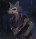  2020 anthro beastars biped black_nose blood blood_from_mouth blue_clothing bodily_fluids canid canine canis claws clothed clothing digital_media_(artwork) echa4797 finger_claws forest fur grey_body grey_fur hi_res legoshi_(beastars) mammal outside plant raining red_sclera shirt solo topwear tree white_body white_fur wolf wounded 