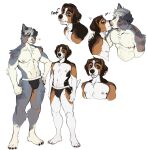  &lt;3 anthro australian_shepherd beagle bodily_fluids canid canine canis clothing countershading domestic_dog duo ear_piercing herding_dog holland_(character) hunting_dog jockstrap kasusei kissing male male/male mammal muscular pastoral_dog piercing scent_hound sheepdog simple_background size_difference sweat sweatdrop underwear white_background 