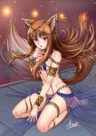  adsouto animal_ears garter holo see_through sling_bikini spice_and_wolf swimsuits tail 