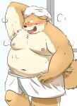  2021 anthro belly blush canid canine canis domestic_dog eyes_closed hi_res hon55728 humanoid_hands kemono male mammal moobs navel nipples overweight overweight_anthro overweight_male solo tongue tongue_out towel 