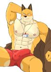 after2 anthro bodily_fluids bulge canid canine clothed clothing fox fuyuki_yamamoto_(odd_taxi) genital_fluids genital_outline hi_res male mammal muscular muscular_anthro muscular_male nipples odd_taxi penis_outline precum precum_through_clothing solo topless wet wet_clothing 