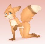  2021 absurd_res anthro blep blue_eyes breasts brown_body brown_fur canid canine collar collar_only dipstick_tail featureless_breasts female fox fur gloves_(marking) hi_res leg_markings mammal markings multicolored_tail nude orange_body orange_fur pawpads pink_pawpads socks_(marking) solo tongue tongue_out yshanii 